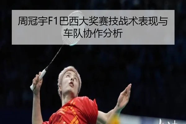 周冠宇F1巴西大奖赛技战术表现与车队协作分析